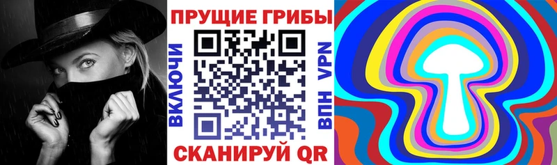 Галлюциногенные грибы GOLDEN TEACHER  Купить  Сосновоборск 